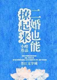 二婚也能撩起来百度