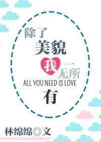 除了美貌我一无所有晋江