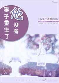 妻子重生了他没有书评