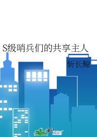 哨兵指责