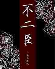 不二臣讲的什么