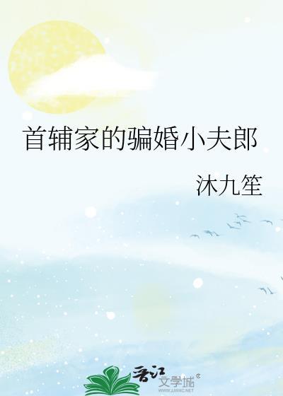 首辅家的骗婚小夫郎沐九笙txt