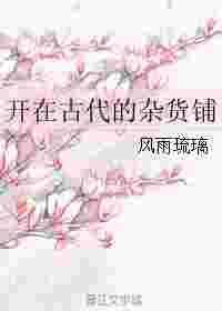 开在古代的杂货店铺