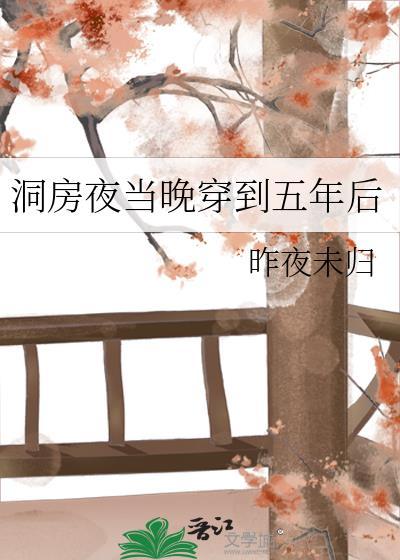 穿到洞房时