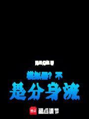 模拟器?不!是分身流作者洛月幻华