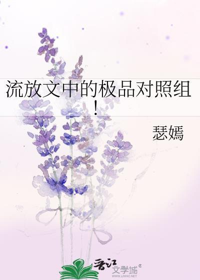 流放中的资料