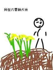我在六零种大米全文阅读