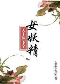天上掉下个美姣娘