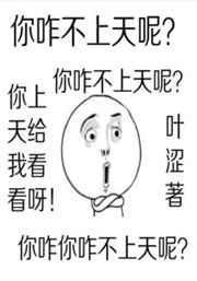 你咋不上天呢 叶涩