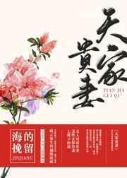 天家贵妻TXT