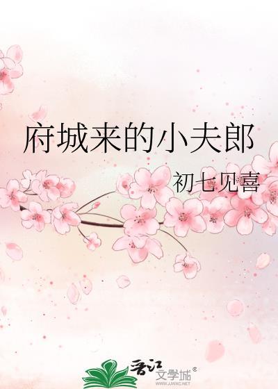 府城来的小夫郎txt盘