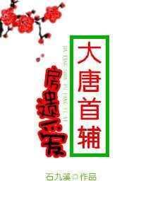 大唐房遗爱