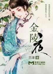 金陵夜归人