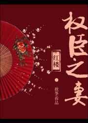 权臣之妻 红楼