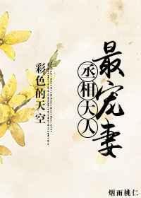丞相大人宠妻日常免费阅读