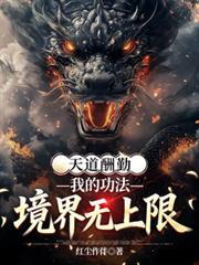 天道酬勤我的武道没有瓶颈境界划分
