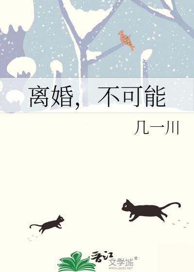 离婚不可能txt