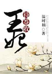 王妃侍卫全集