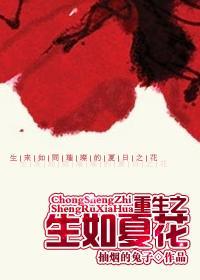 重生之生如夏花无删减