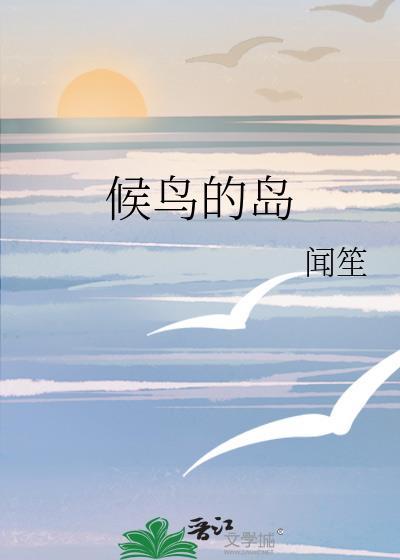 候鸟的岛免费阅读