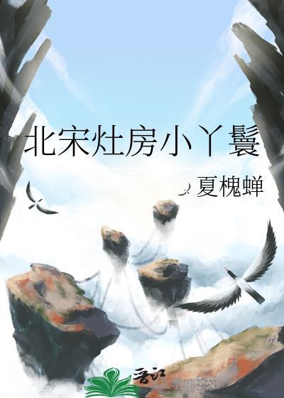 北宋灶房小丫鬟叫什么