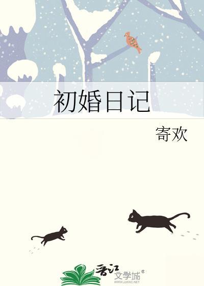初婚日记寄欢