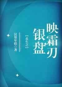 重生之银盘映霜刃晋江