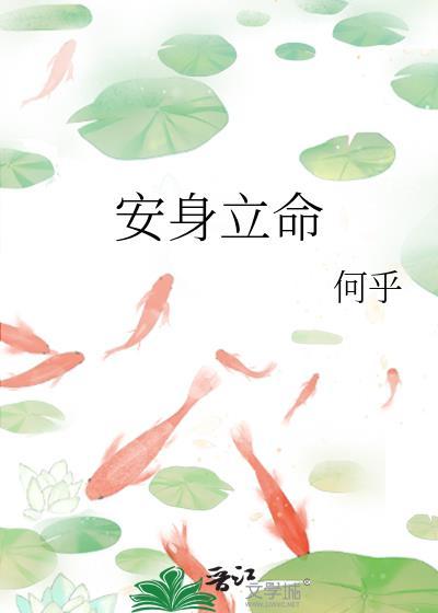 安身立命by何乎txt