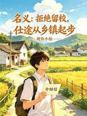 仕途从乡镇起步笔趣阁