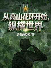主角穿越高山下的花环推荐