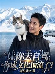 你成文化顶流了 有声