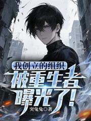 主角创造了一个组织