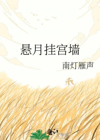 悬月挂宫墙by南灯雁声txt