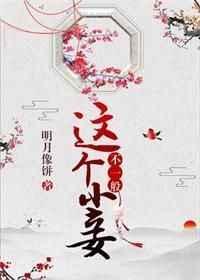 这个小妾不一般好看吗