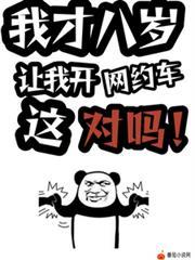 让我开网约车这对吗?萧诧动漫