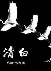 清白还是青白