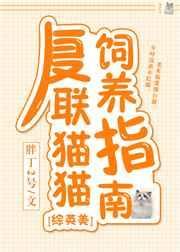复联猫猫饲养指南[综英美