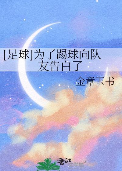 足球踢球为了养家糊口免费阅读