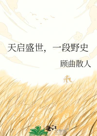 天启盛世一段野史TXT百度