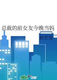 总裁的前任女友