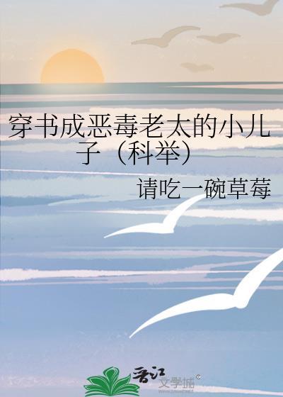 穿书成恶毒老太的小儿子科举阅读全文