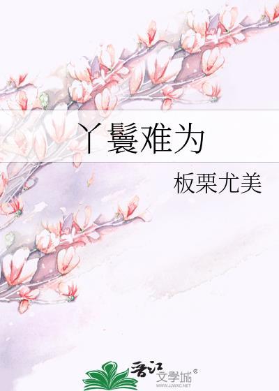 丫鬟难为讲的什么故事
