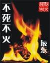 不死不灭讲了什么