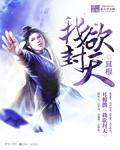 我欲封天镜子来历