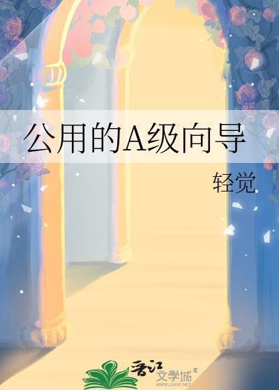 公用的A级向导