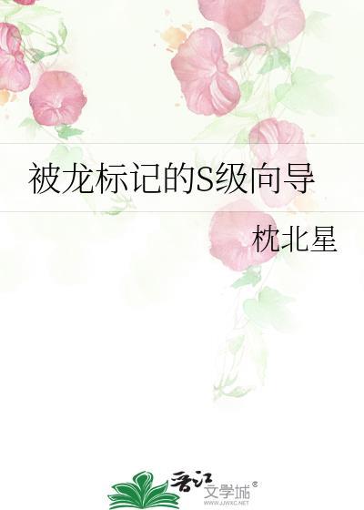 被龙标记的S级向导
